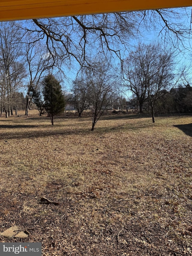 view of yard featuring a rural view