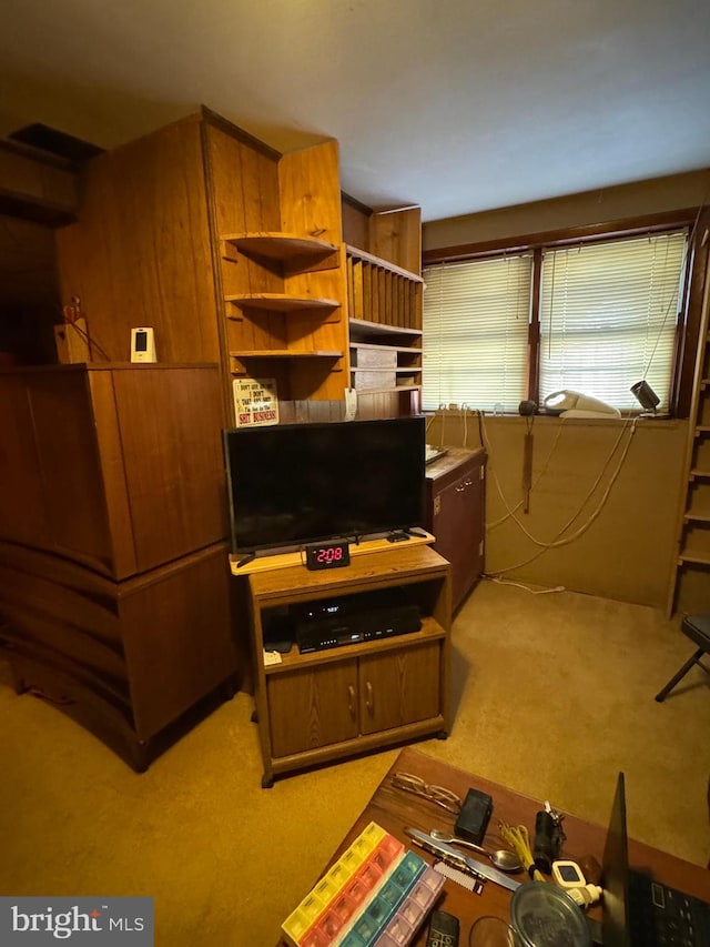 interior space with carpet flooring and wooden walls