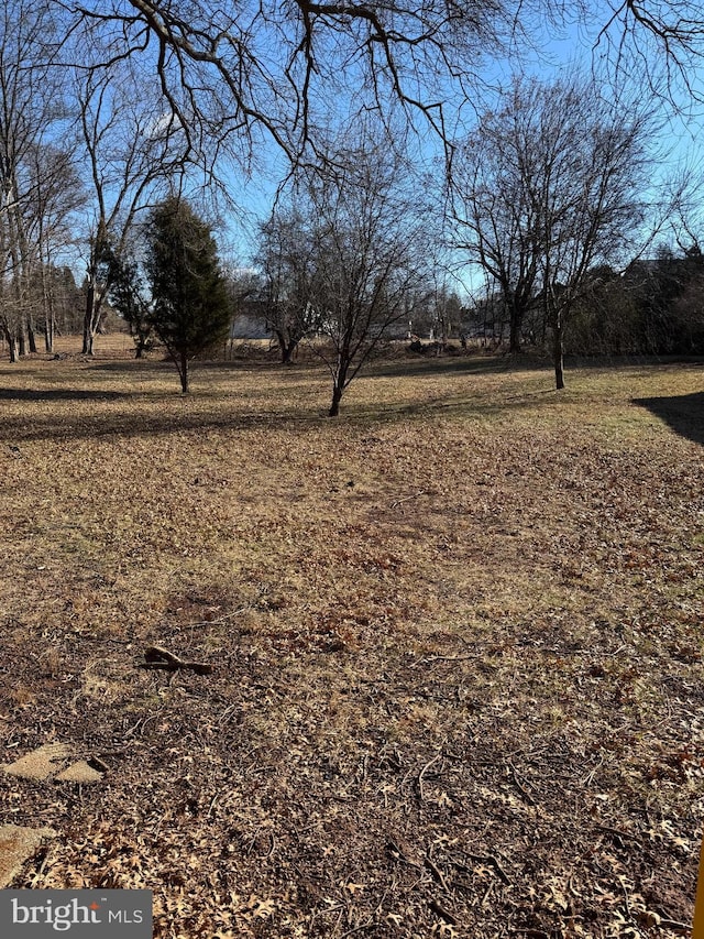 view of yard with a rural view