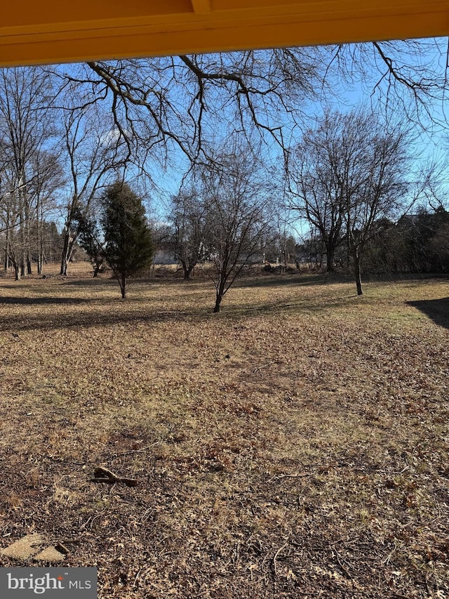 view of yard featuring a rural view