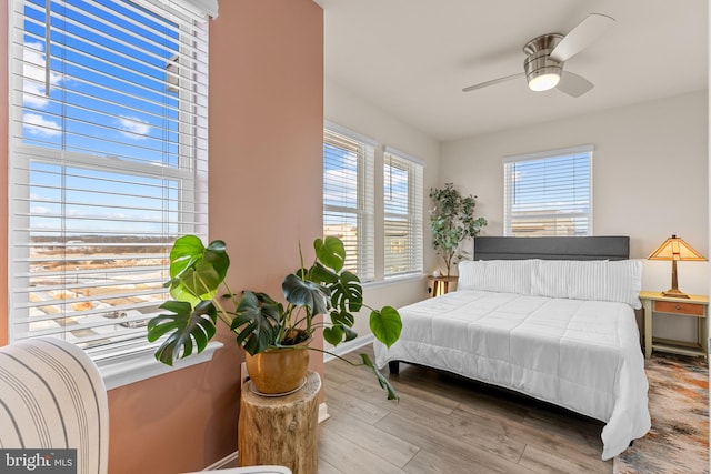 bedroom with multiple windows, hardwood / wood-style floors, and ceiling fan