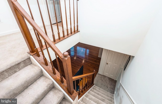 staircase with carpet floors