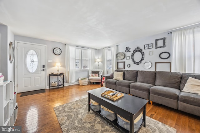 living room featuring hardwood / wood-style flooring