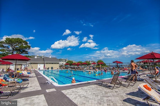 view of pool featuring a patio area