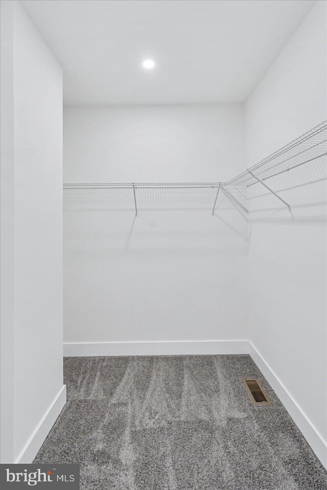 walk in closet featuring carpet floors