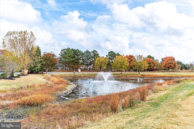 view of water feature