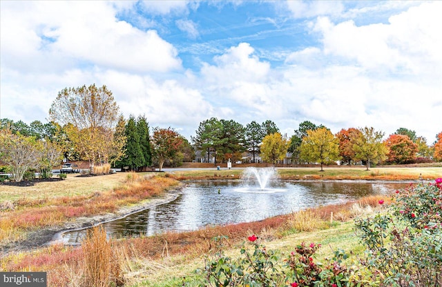 view of water feature