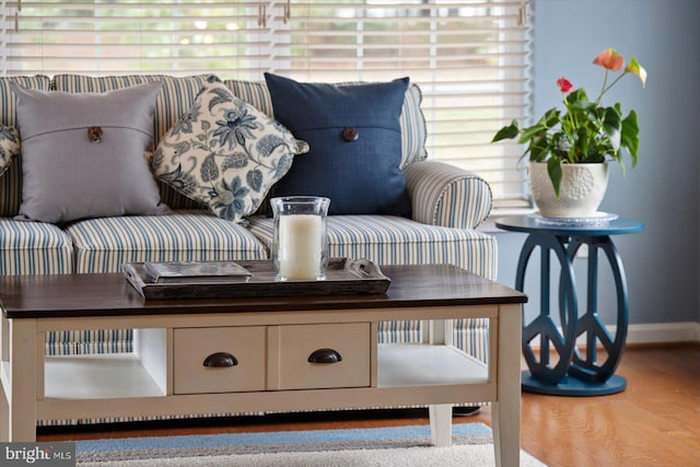 interior space featuring hardwood / wood-style floors and a healthy amount of sunlight