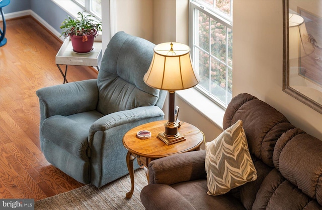 living area with wood-type flooring and a wealth of natural light