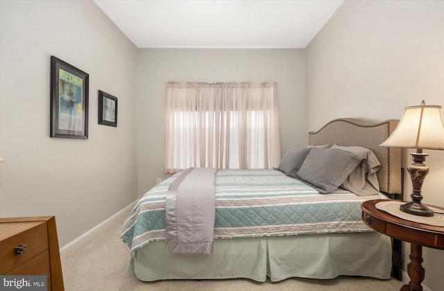 bedroom featuring carpet flooring