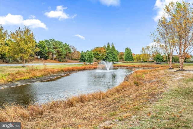 property view of water