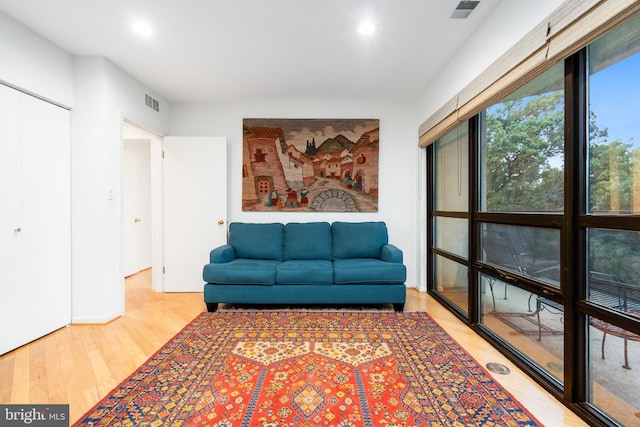 living room featuring light hardwood / wood-style flooring