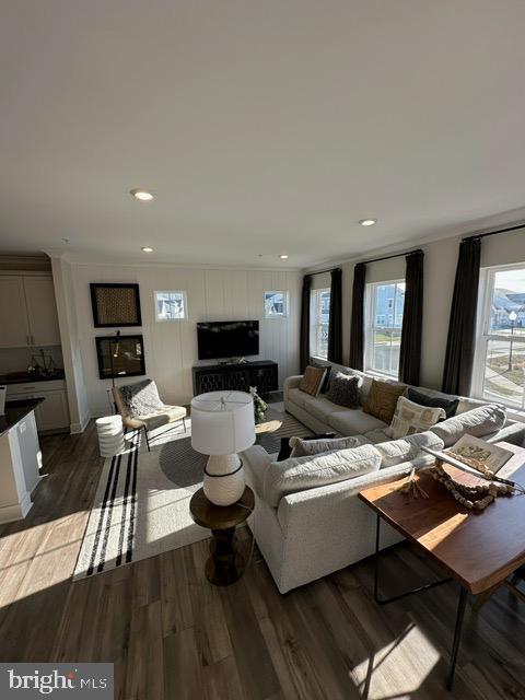 living room with dark hardwood / wood-style floors