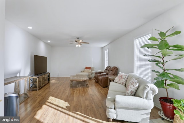 living room with ceiling fan and light wood-type flooring