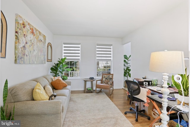 home office featuring hardwood / wood-style flooring