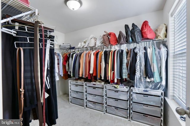 spacious closet featuring carpet floors