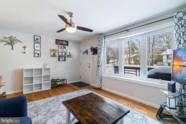 living room with hardwood / wood-style flooring and ceiling fan