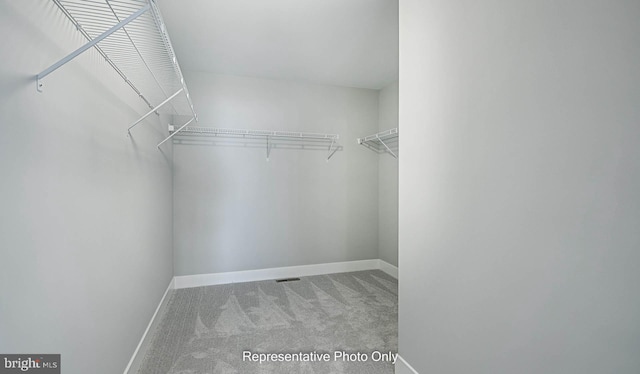 walk in closet featuring light colored carpet