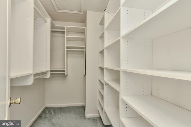 spacious closet with light carpet