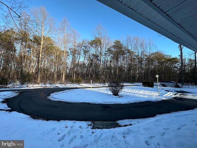 view of yard covered in snow