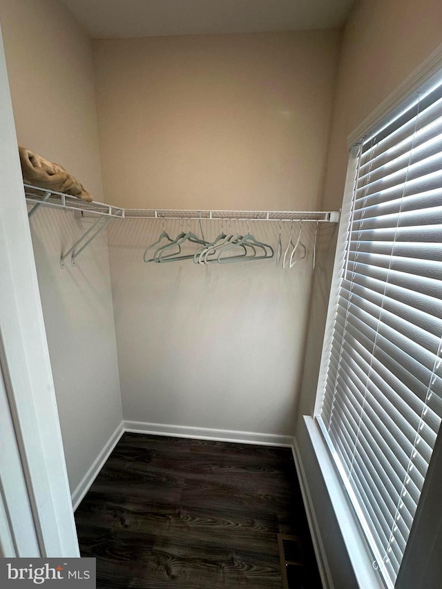 walk in closet featuring dark hardwood / wood-style flooring