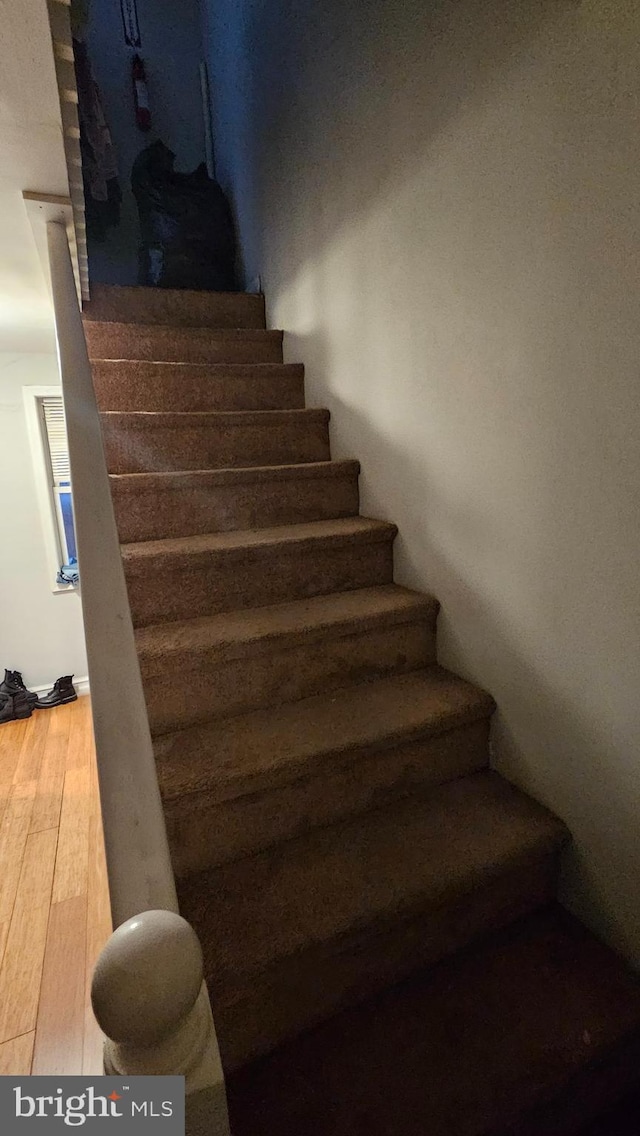 stairway featuring wood-type flooring