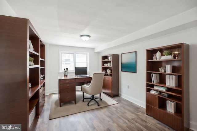 office space featuring wood-type flooring