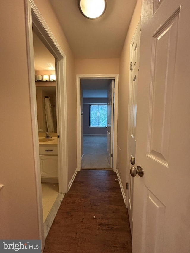 corridor with sink and dark hardwood / wood-style floors