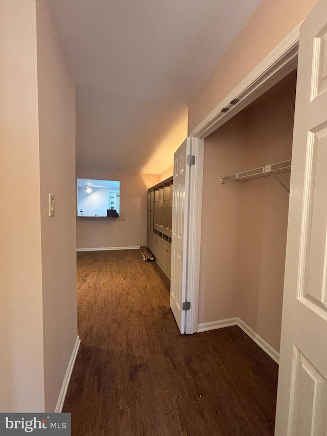 hall with lofted ceiling and dark wood-type flooring