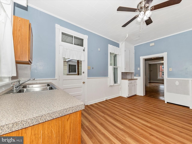 kitchen with light hardwood / wood-style floors, ceiling fan, crown molding, and sink