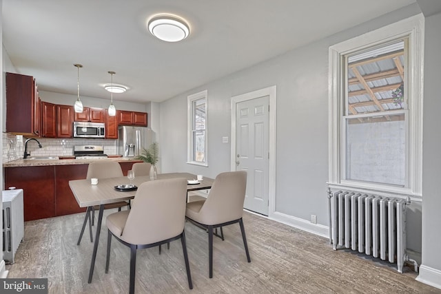 dining area featuring plenty of natural light, light hardwood / wood-style floors, sink, and radiator