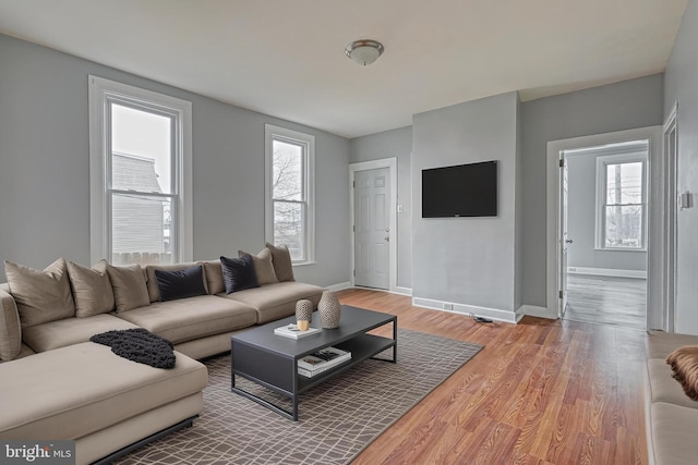 living room with hardwood / wood-style floors and plenty of natural light