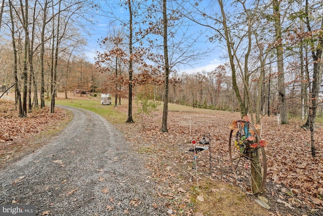 view of road