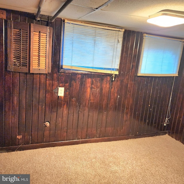 interior space with carpet floors and wood walls