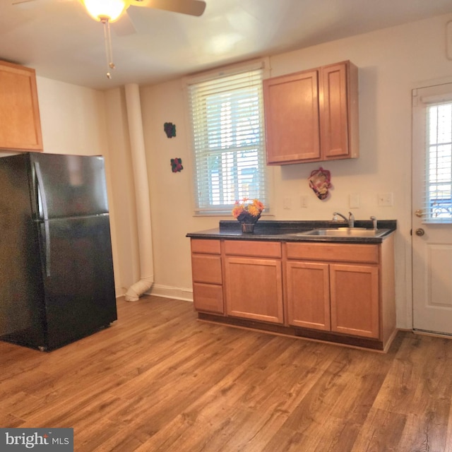 kitchen with black refrigerator, light hardwood / wood-style flooring, ceiling fan, and sink