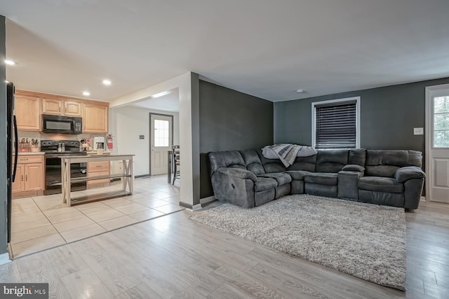 living room with light hardwood / wood-style flooring