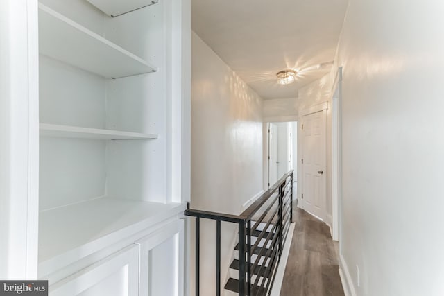 hallway with dark hardwood / wood-style floors