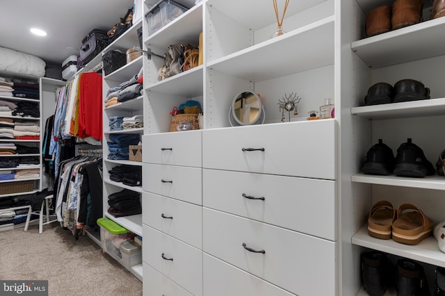 walk in closet featuring light colored carpet