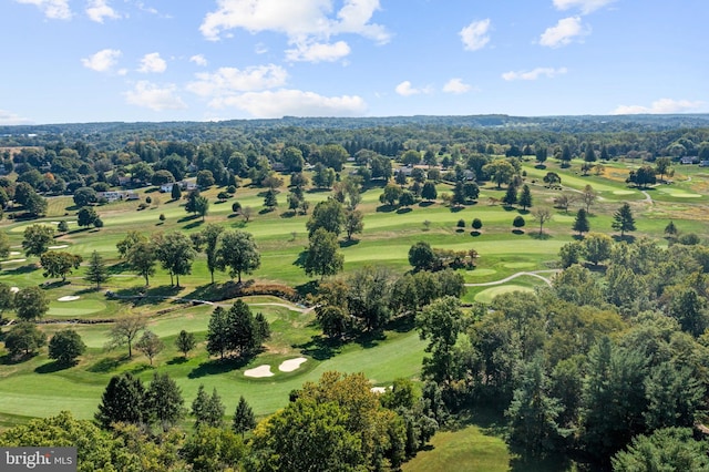 aerial view