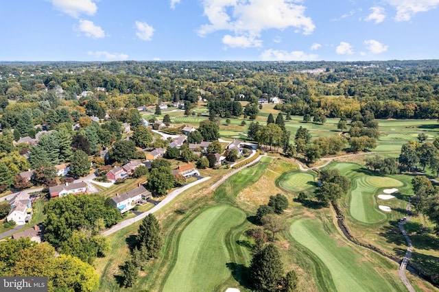 bird's eye view