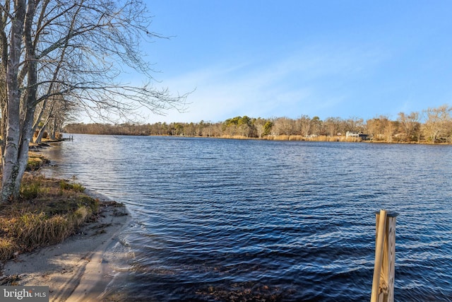 view of dock with a water view