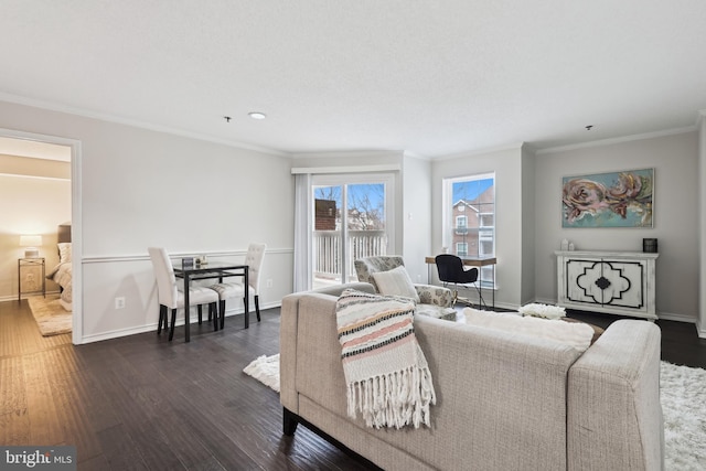 living room with crown molding and dark hardwood / wood-style floors