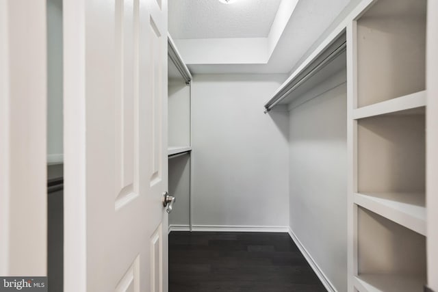 spacious closet featuring dark hardwood / wood-style flooring