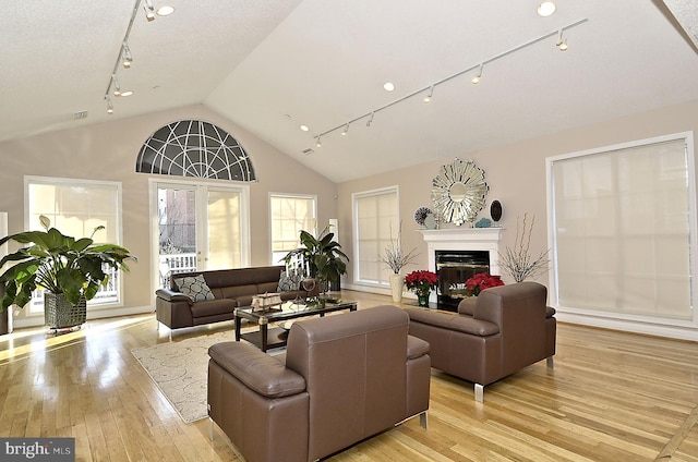 living room featuring light wood-type flooring and lofted ceiling