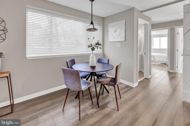 dining room with hardwood / wood-style floors