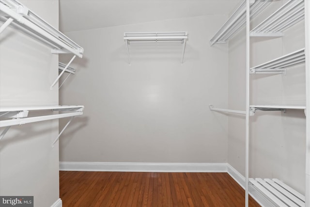 walk in closet with hardwood / wood-style flooring