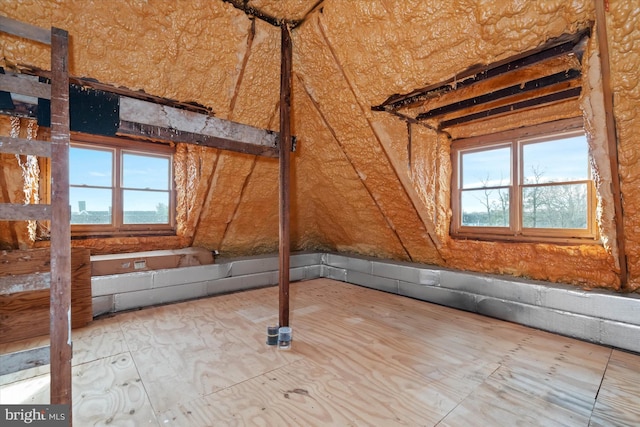 attic with plenty of natural light