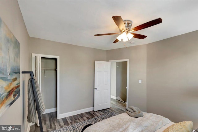 bedroom with ceiling fan, dark hardwood / wood-style floors, and a closet