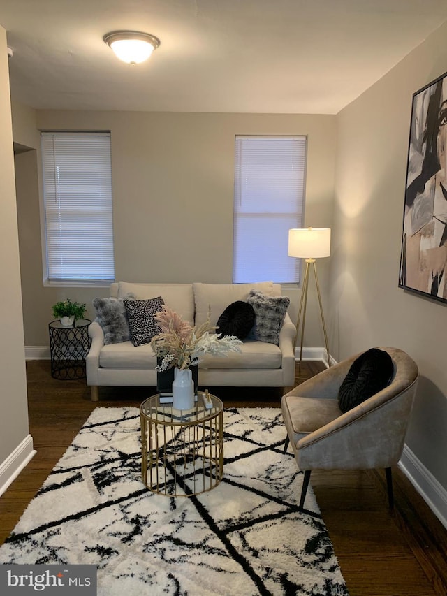 living room featuring dark wood-type flooring