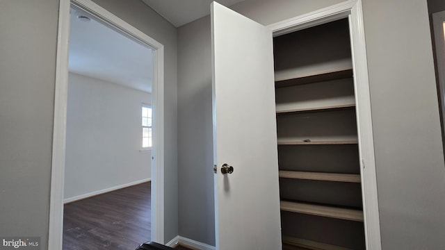 view of closet